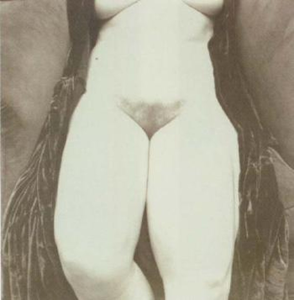 Nude study by Irving Penn