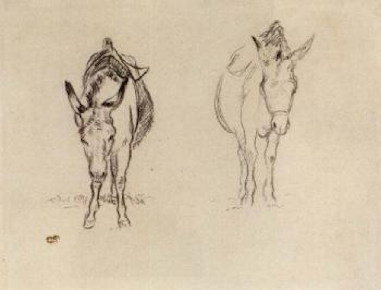 Etudes d'anes by Camille Pissarro