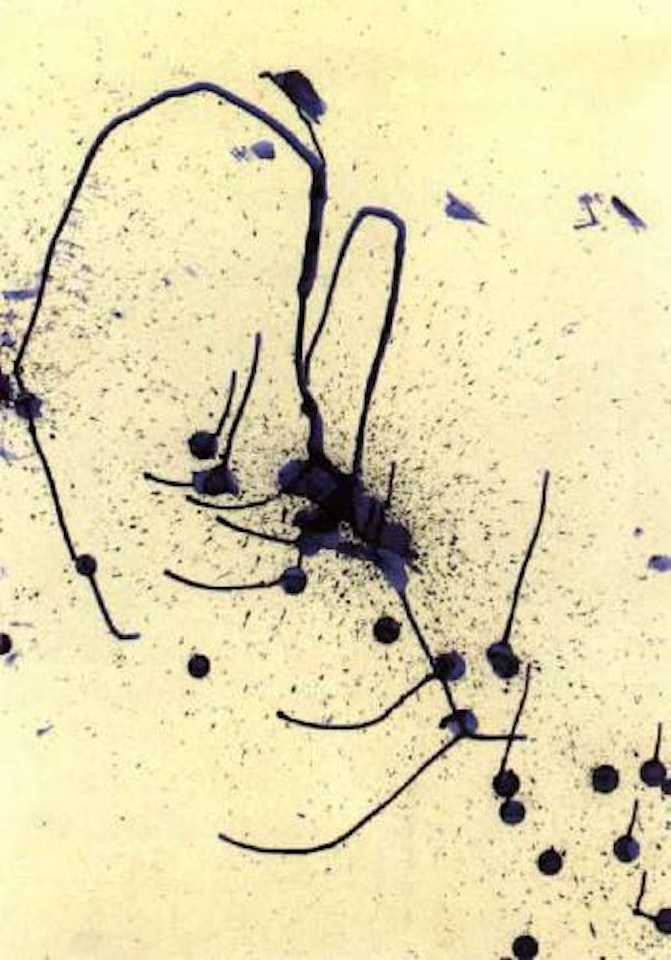 Untitled by Sigmar Polke