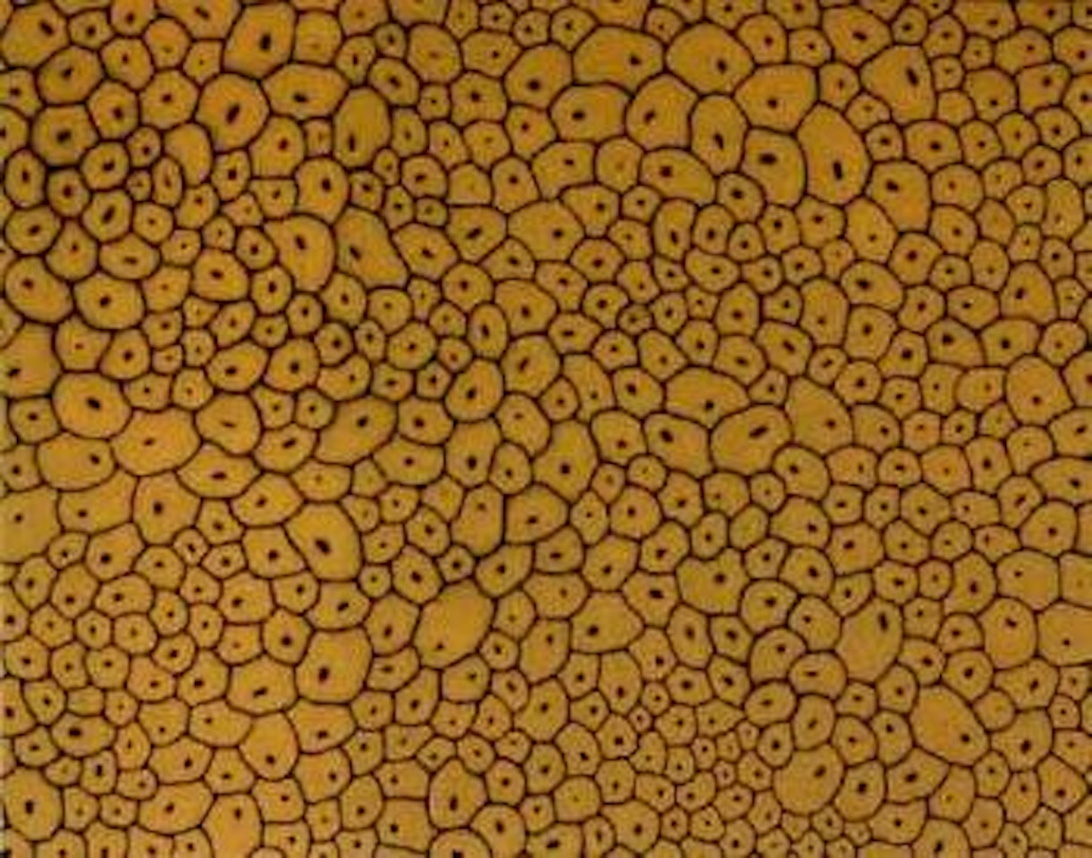 Accumulation by Yayoi Kusama