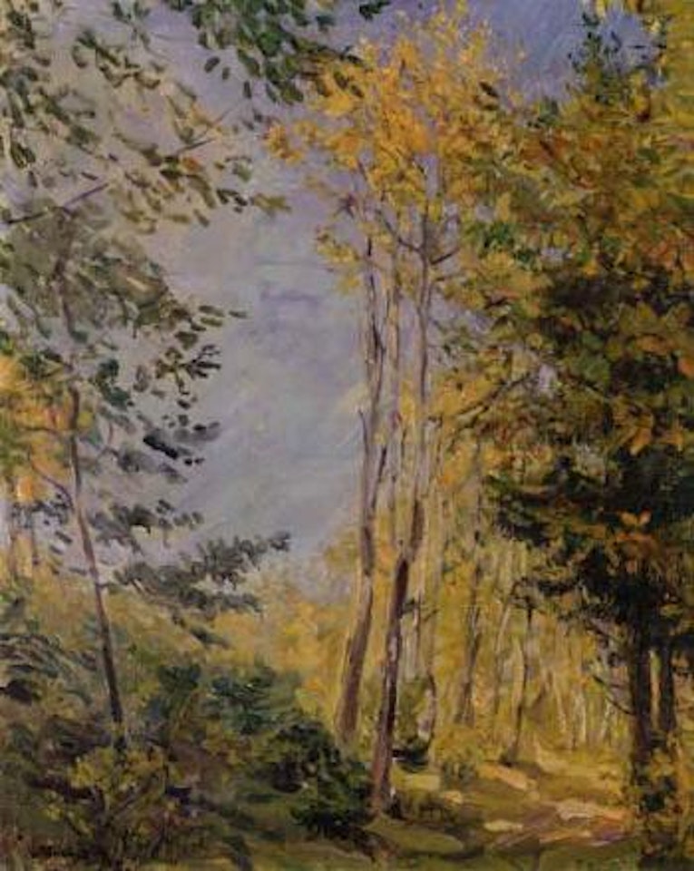 Autumn woodland by Max Slevogt
