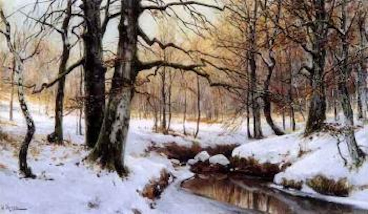 Winter sun by Walter Moras