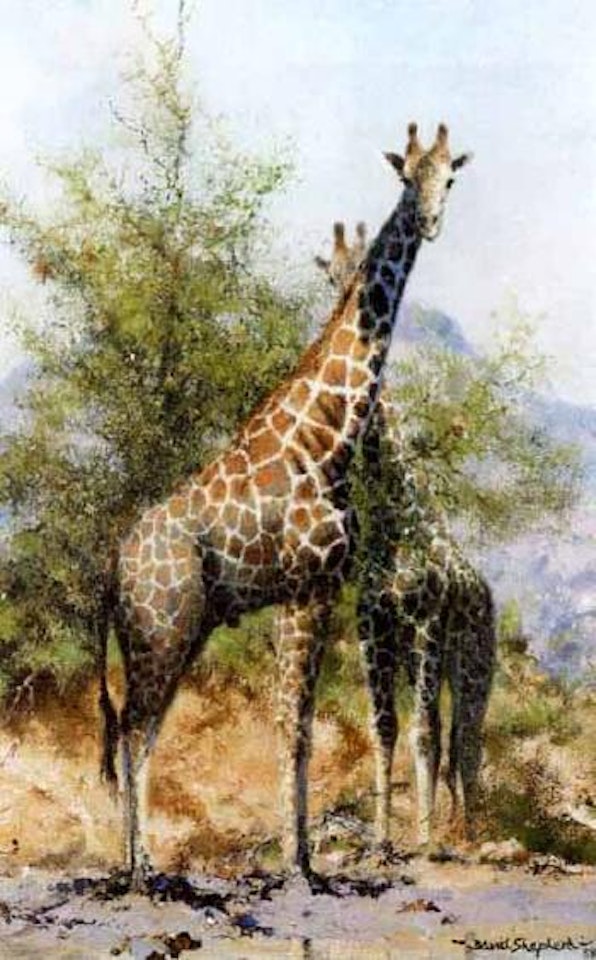 Waterhole Trilogy by David Shepherd