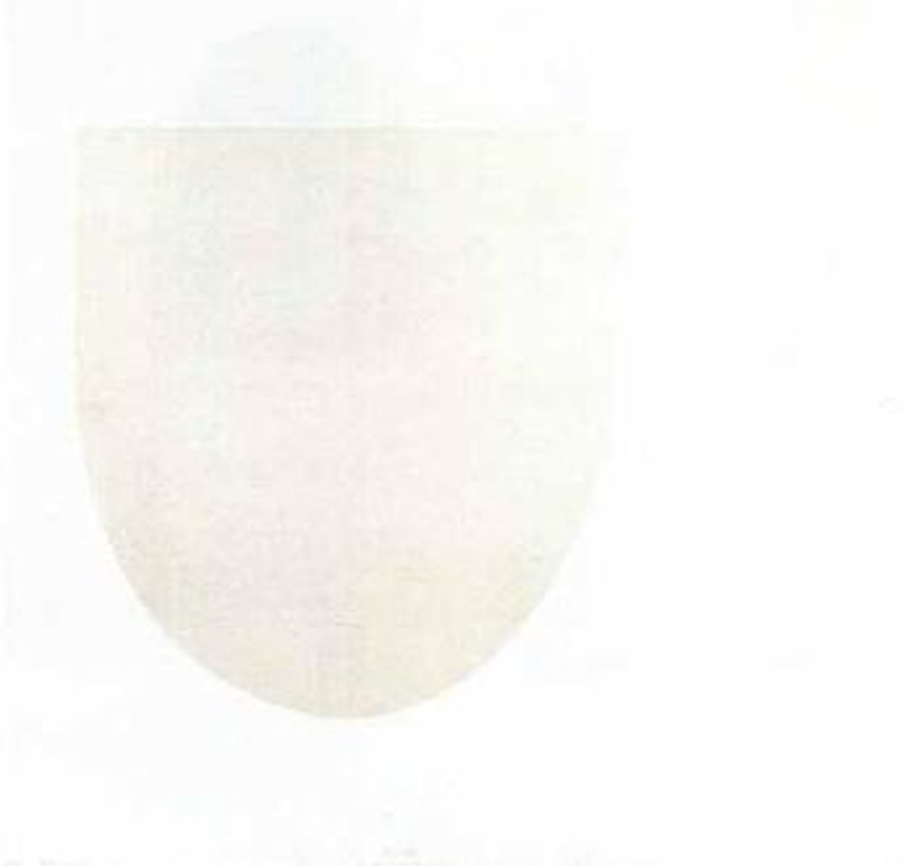 White form, 1971 by William Scott