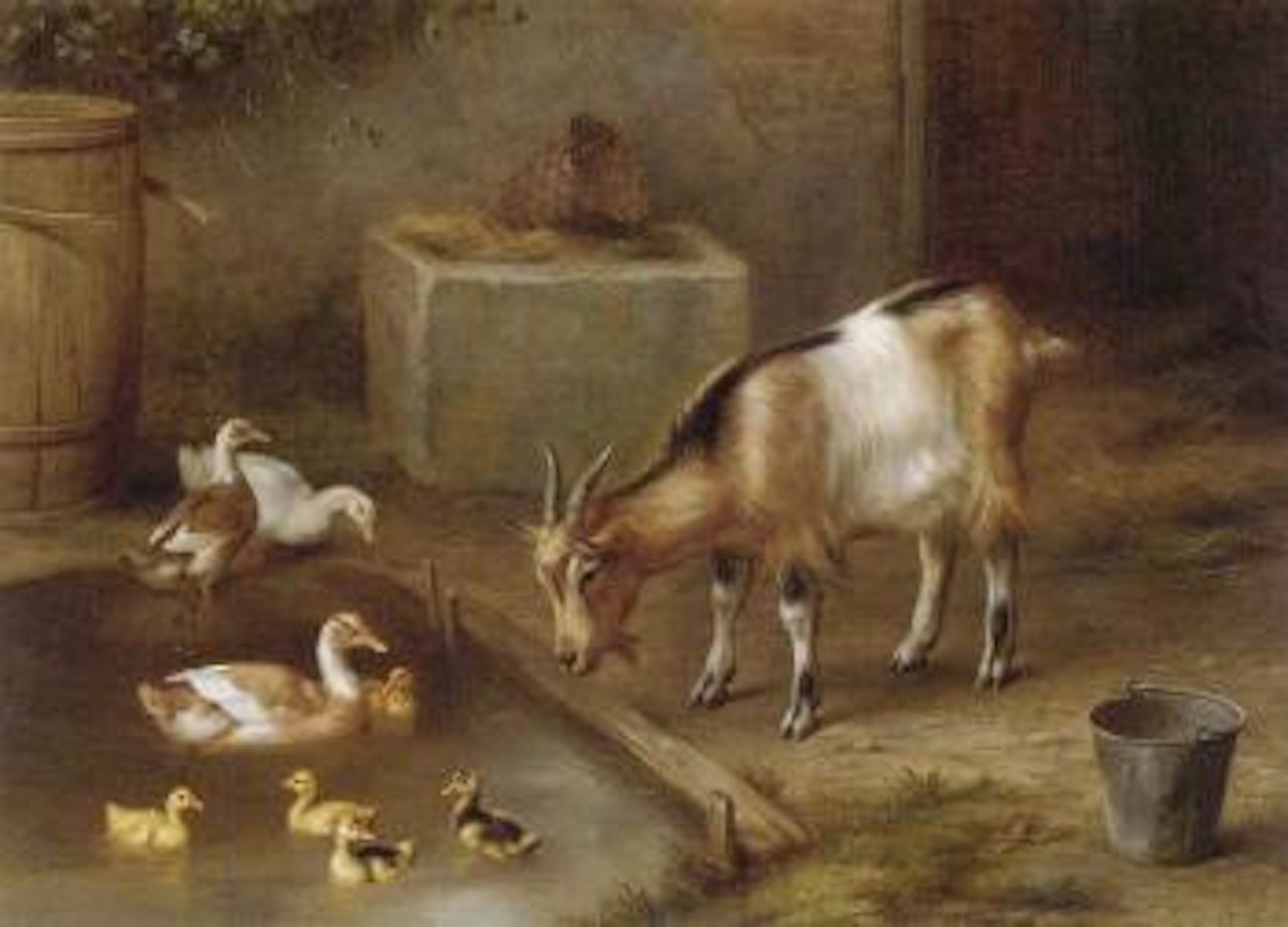 Duck pond. Chivken in a yard by Edgar Hunt
