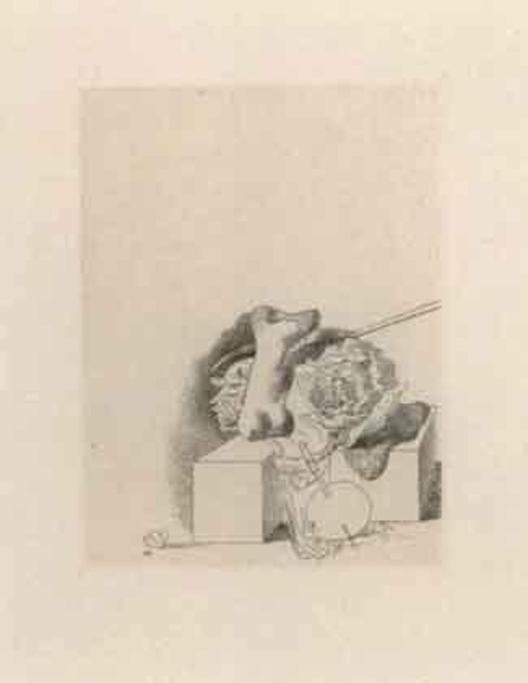 Les Chants de Maldoror by Salvador Dali