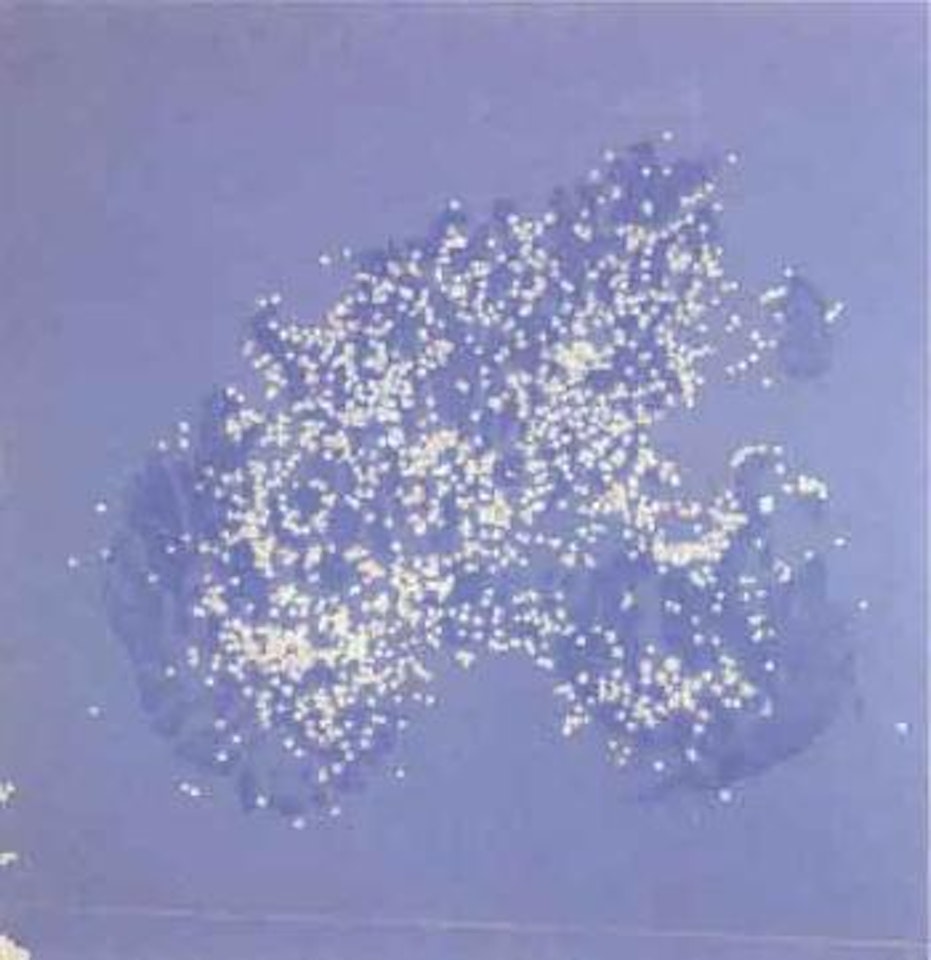 Confetti by Tano Festa