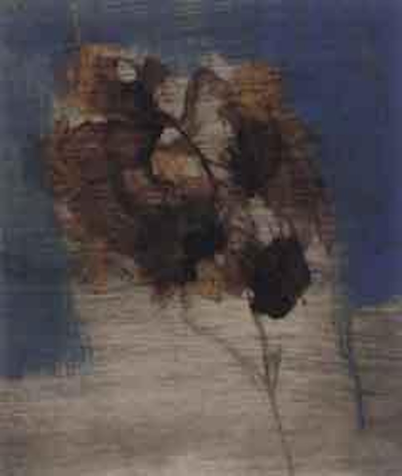 Seed pod by Sidney Nolan