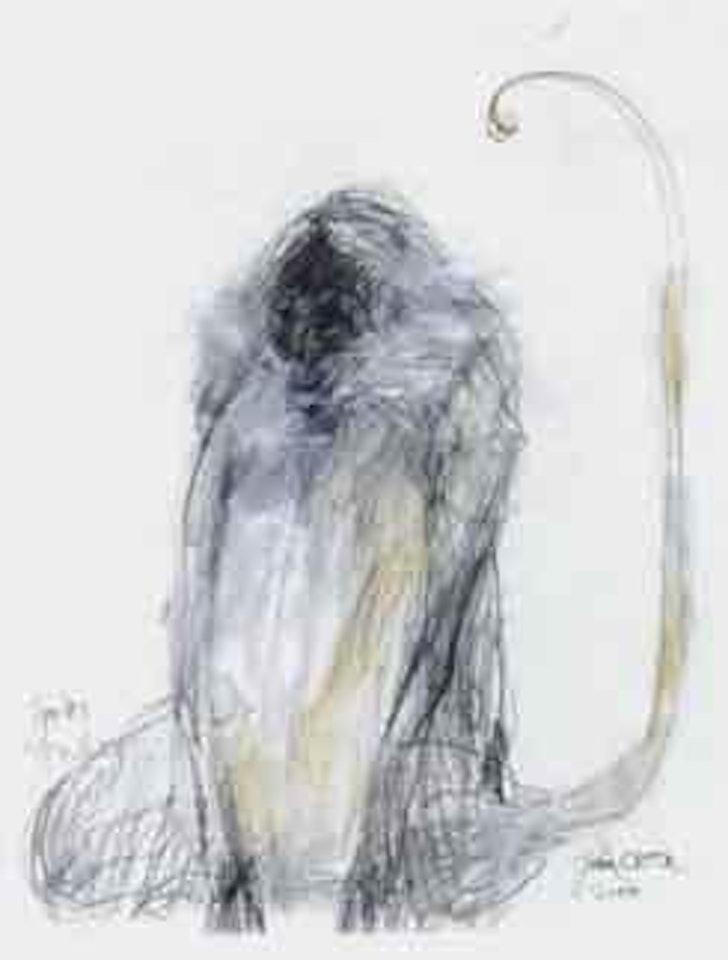 Spider monkey by John Olsen