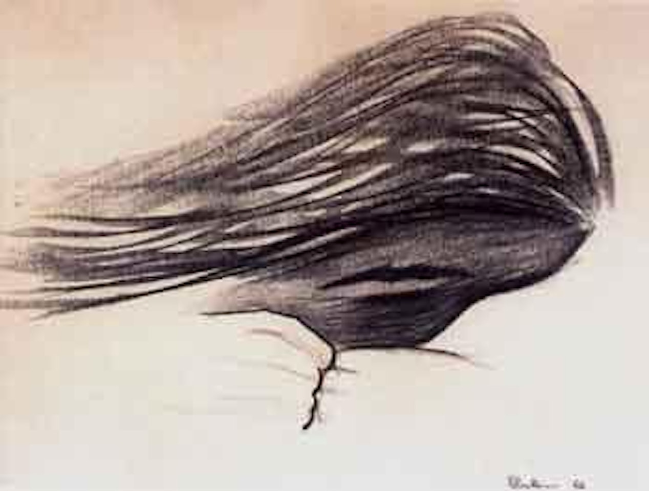 Metamorhosis of the face by Charles Blackman