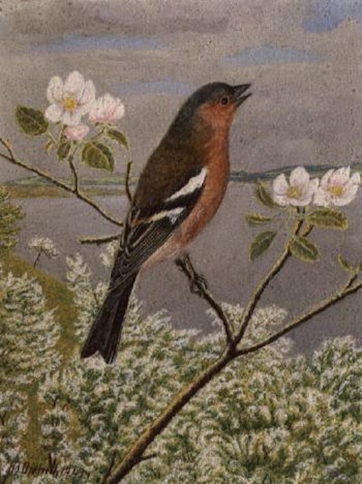 Bullfinch on a branch by Adolf Dietrich