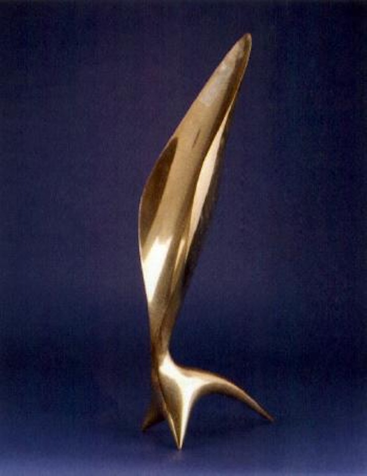 Mesure lumiere by Antoine Poncet