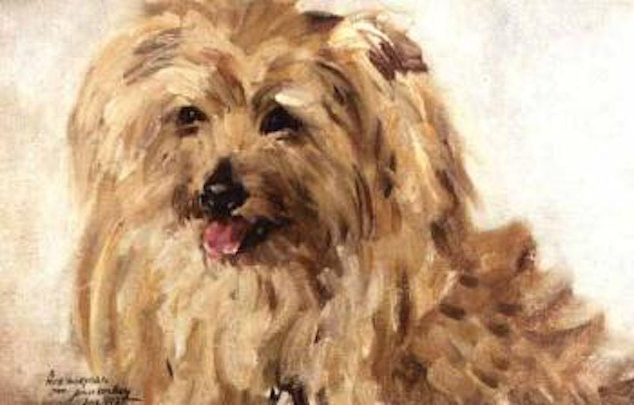 Portrait of mischief by James Mcbey