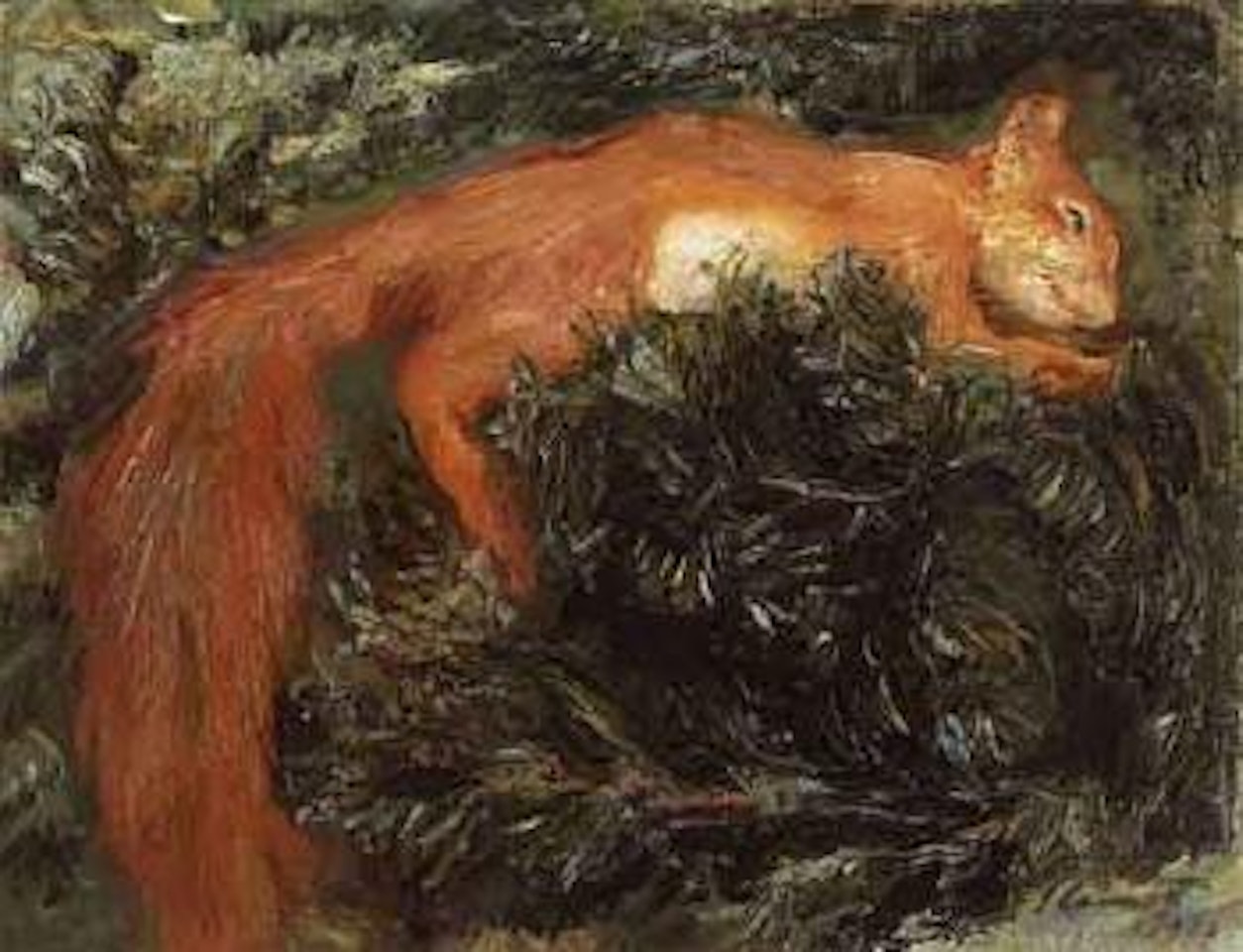 Squirrel by Max Slevogt