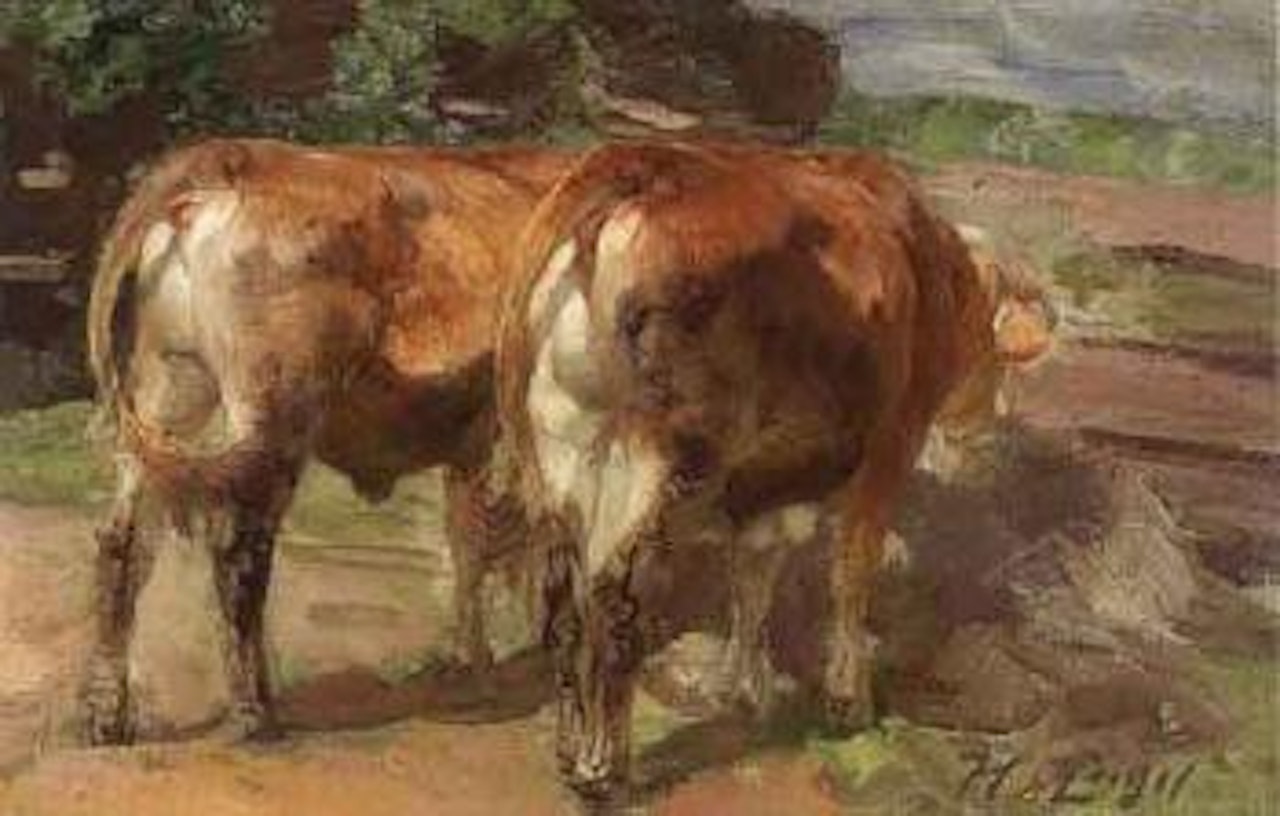Cows in a sunny field by Heinrich von Zugel