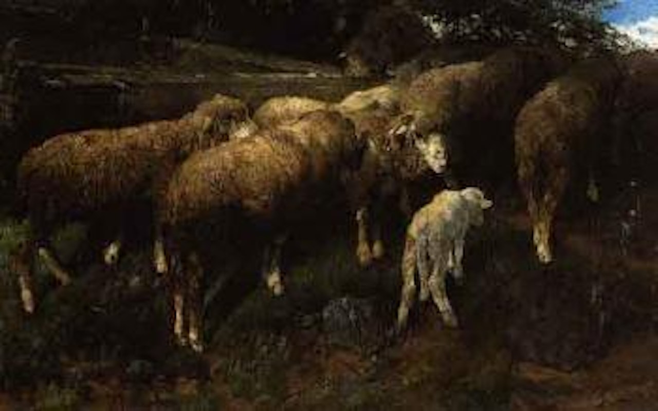 Flock of sheep with a white lamb by Heinrich von Zugel