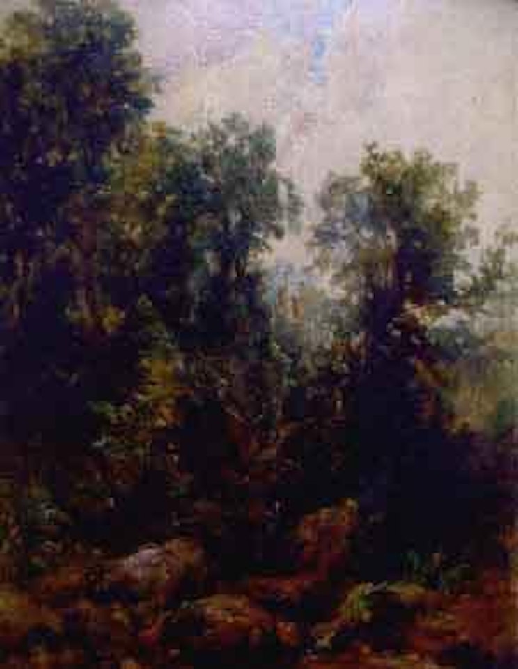 Wood by John Constable