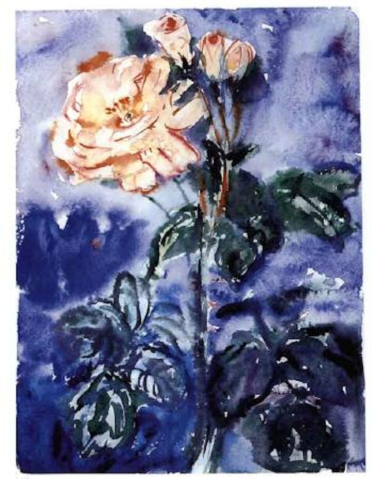 Rose by Anselm Kiefer