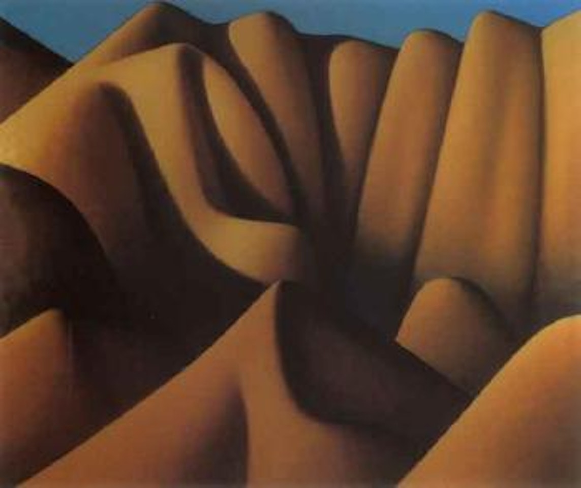 Hawkdums evening by Michael Smither