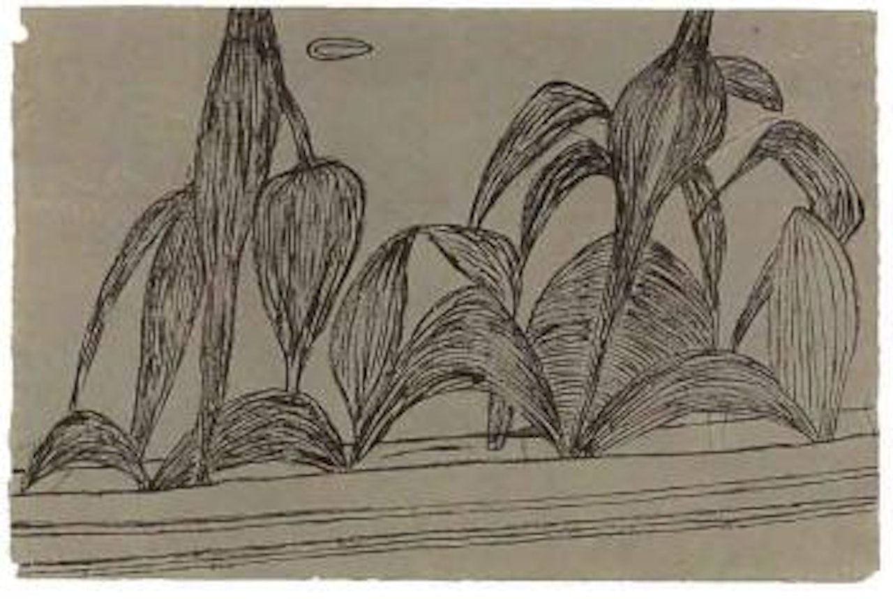 Untitled by Louise Bourgeois