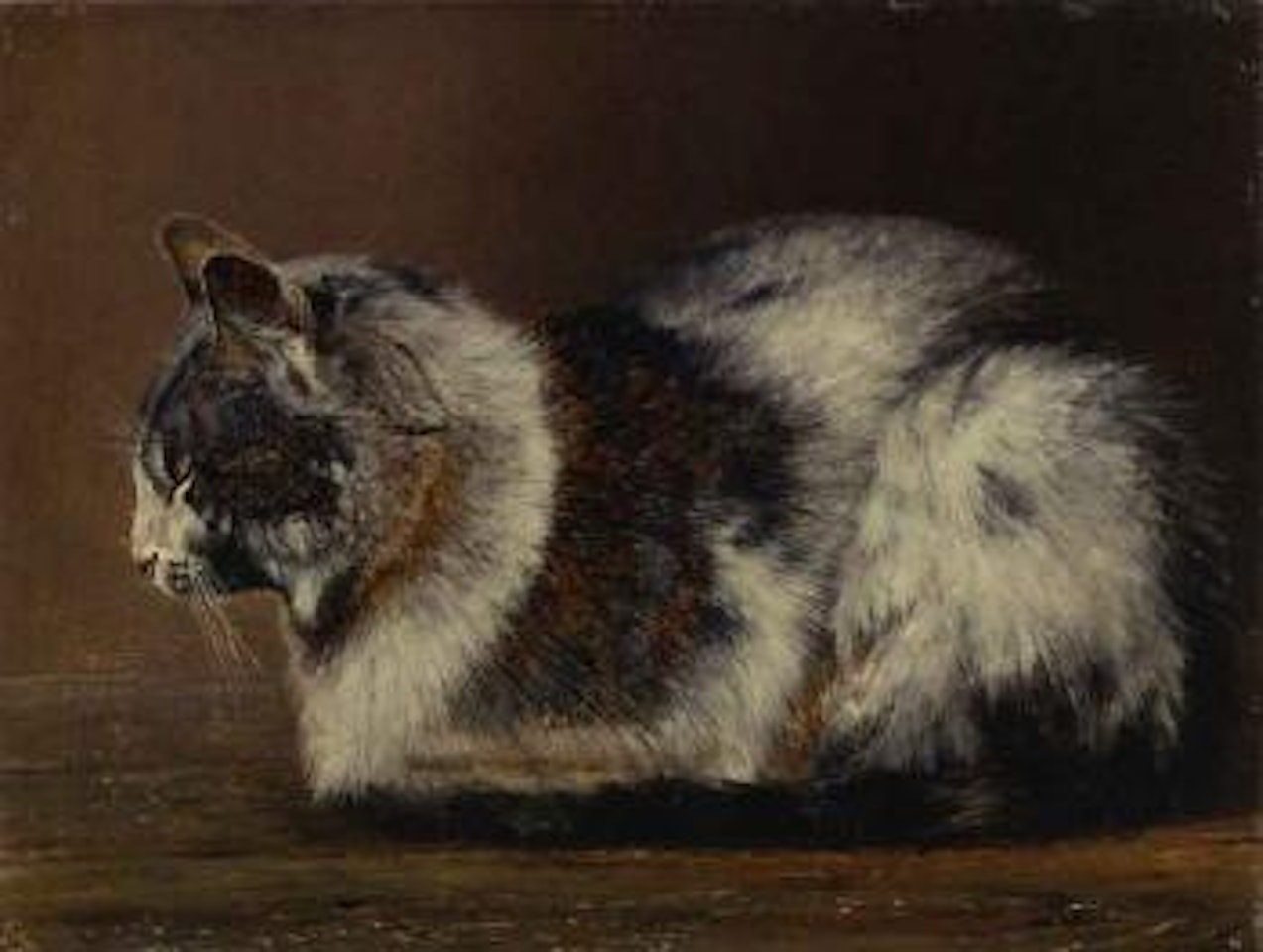 Cat by Ivan Pavlovitch Pochitonov