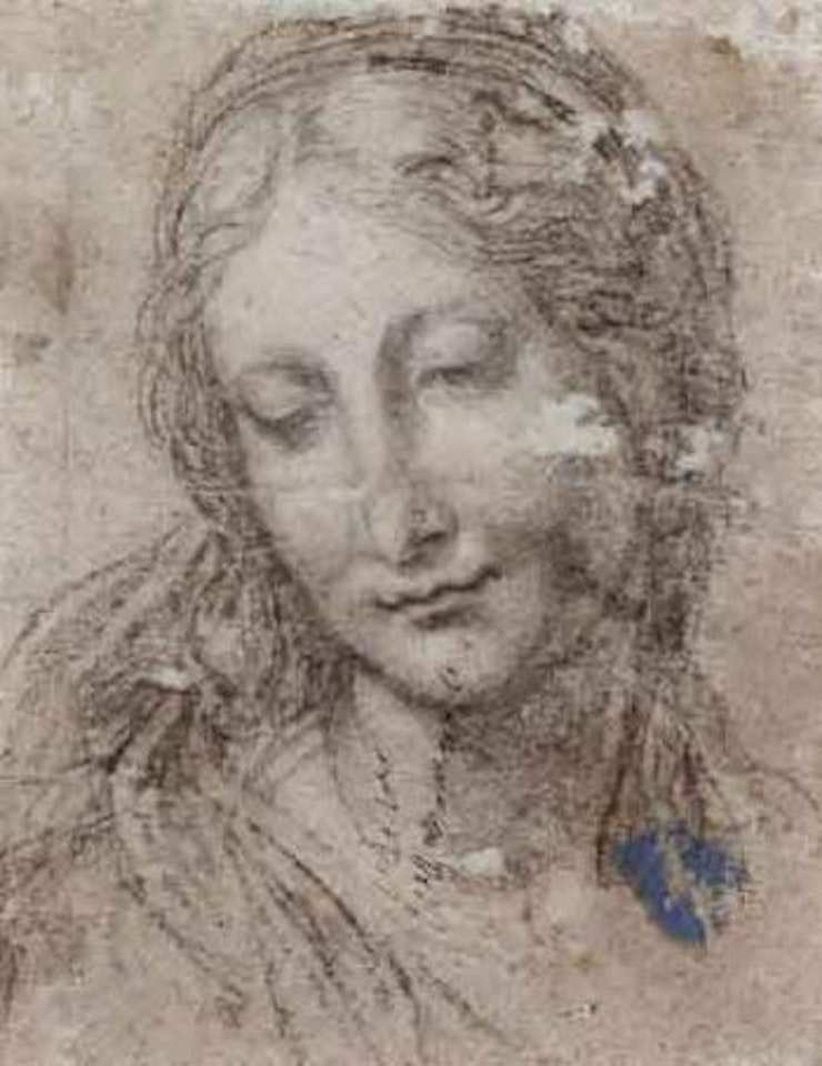 Head of a young woman by Girolamo Mazzola Bedoli