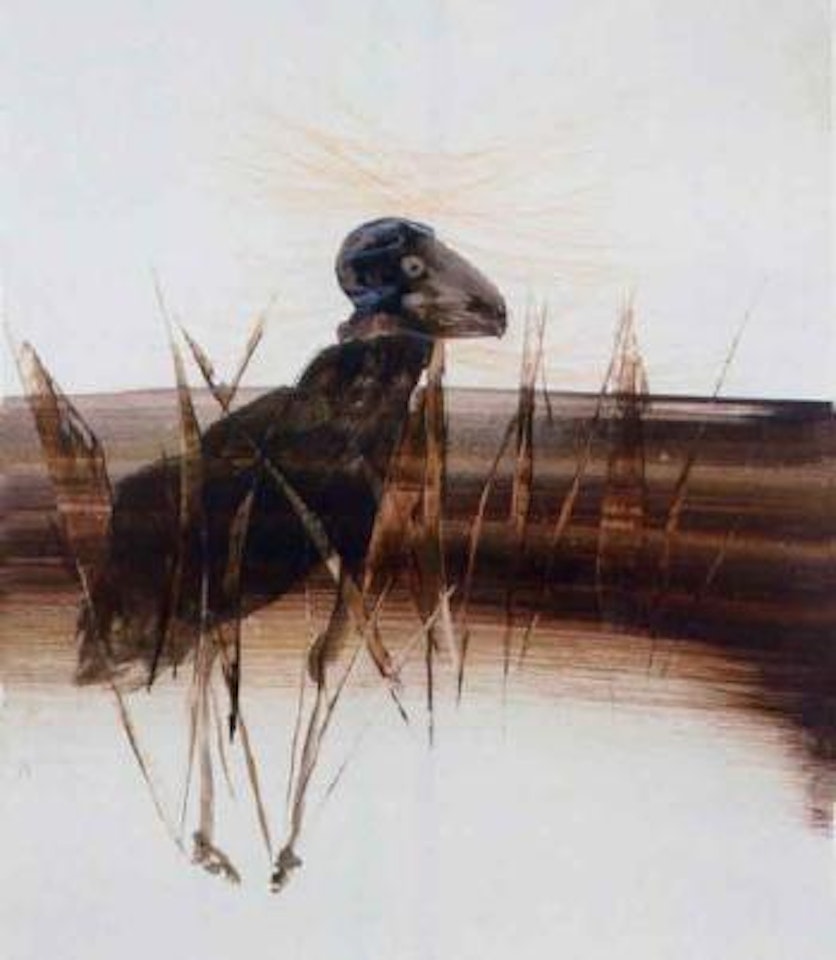 Bird by Sidney Nolan