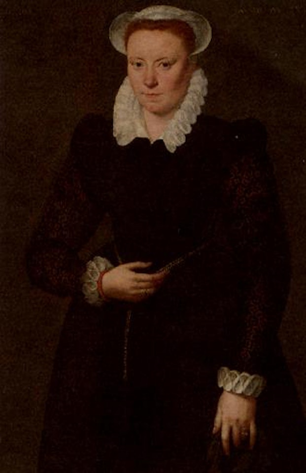 Portrait of a lady, aged 28 years by Adriaen Thomas Key
