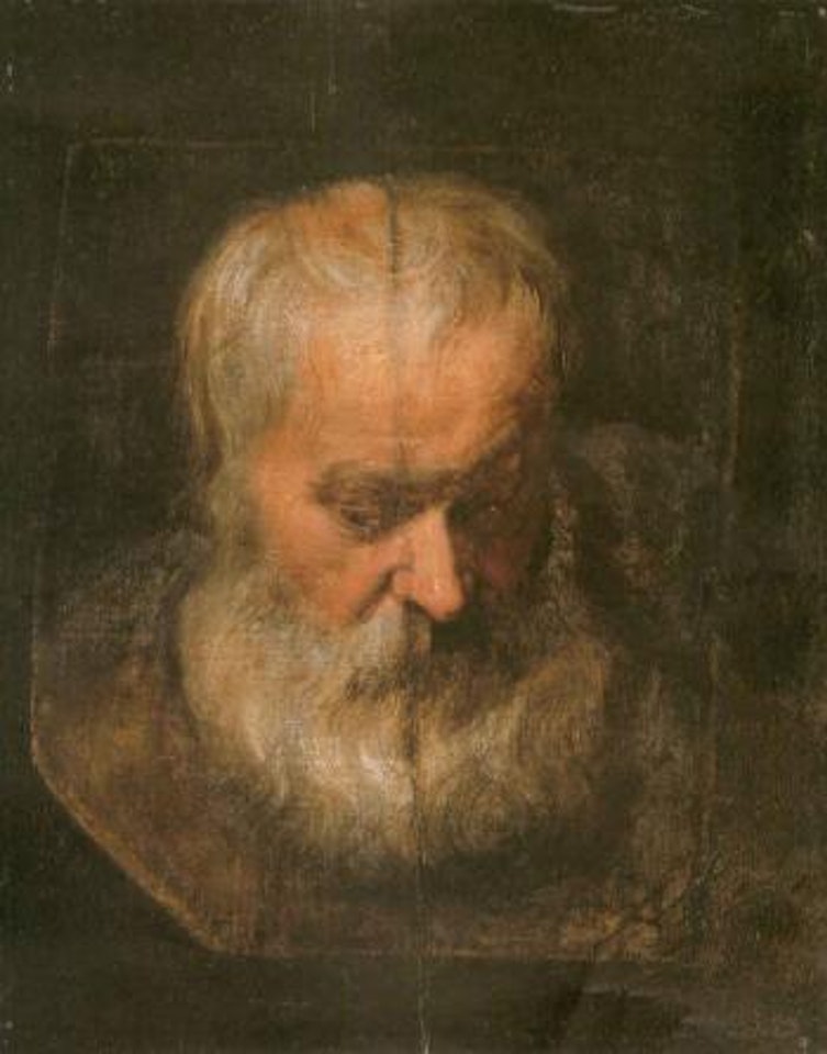 Head study of a bearded man by Anthony van Dyck