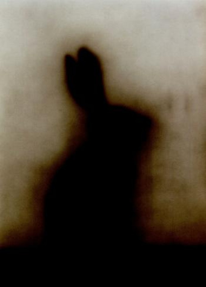 Bunny by Ed Ruscha