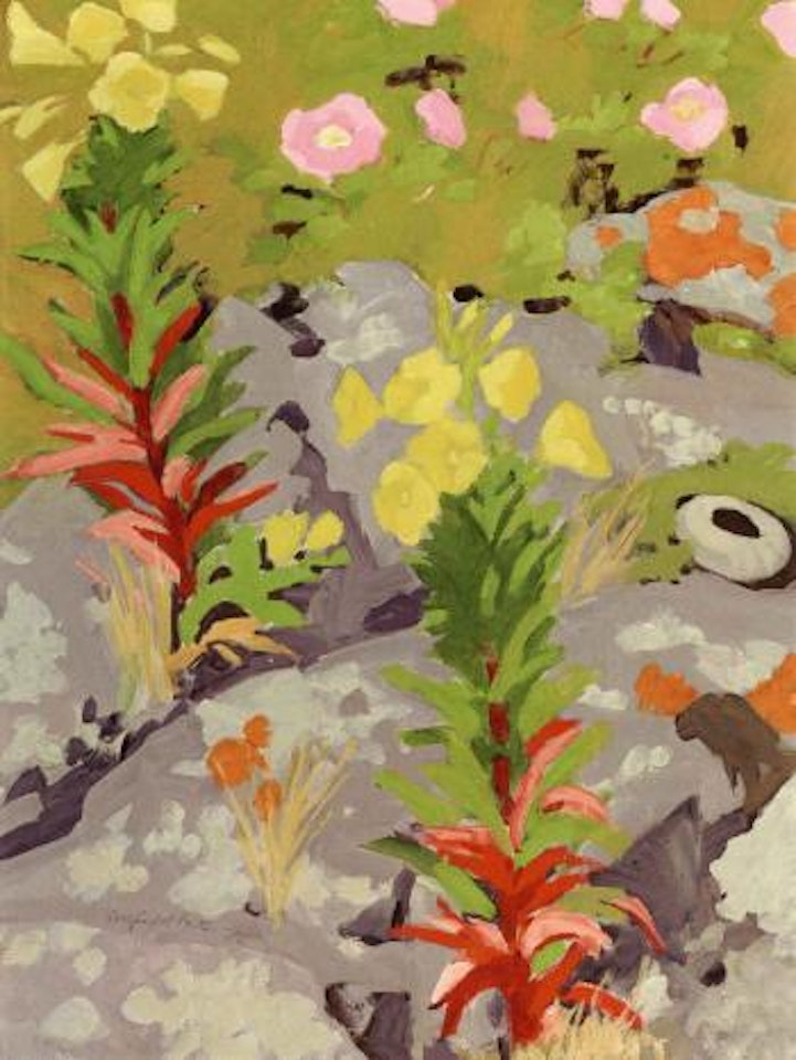 Lichiens, wild roses and primroses by Fairfield Porter