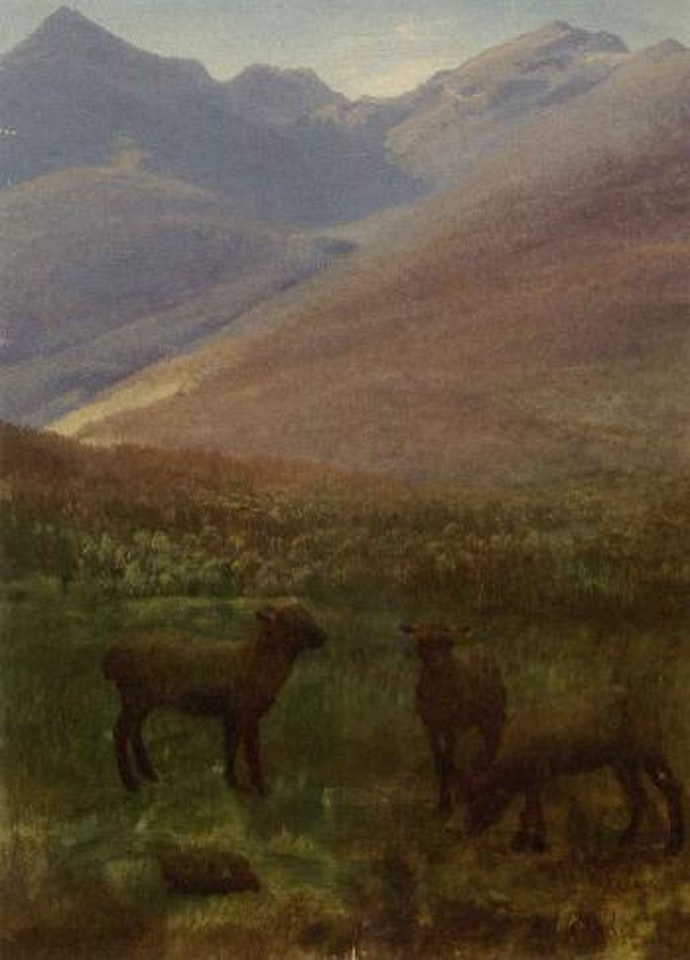 White mountains near Glen House by Albert Bierstadt