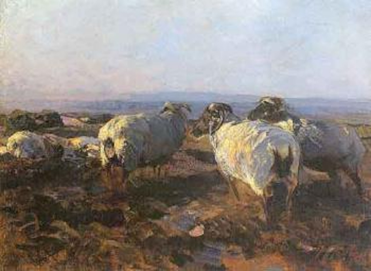 Sheep in evening light by Heinrich von Zugel