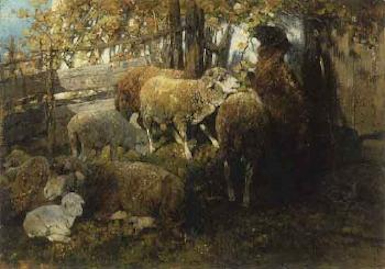 Sheep by fence by Heinrich von Zugel