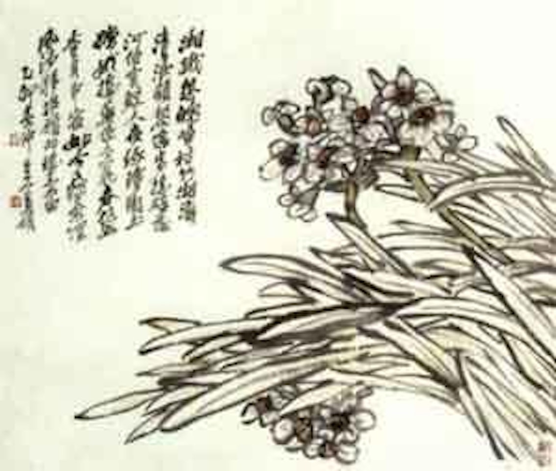 Narcissus by Wu Changshuo