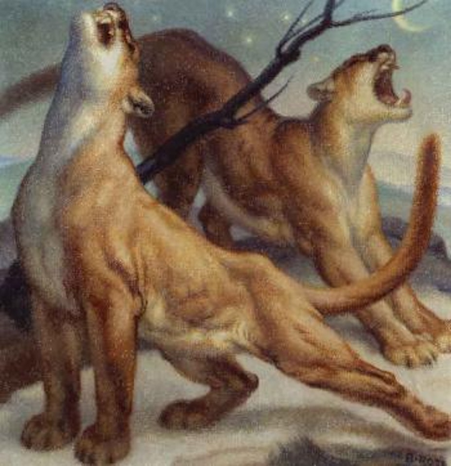 Awaken by Norbertine Bresslern-Roth