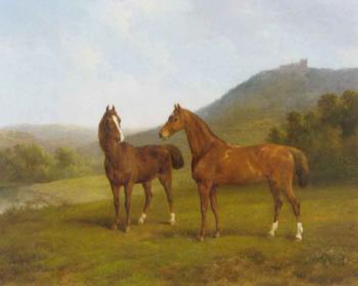 Horses in a valley by August Knip
