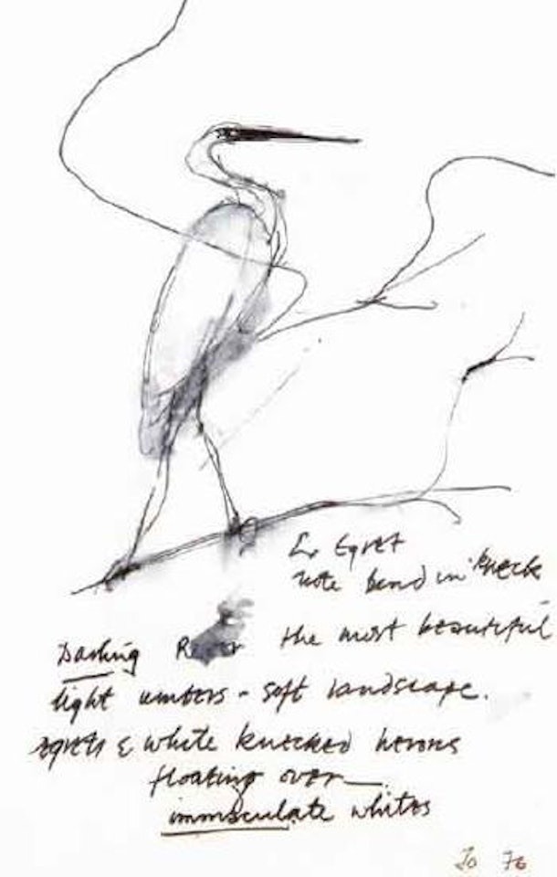Egret study and inscription by John Olsen