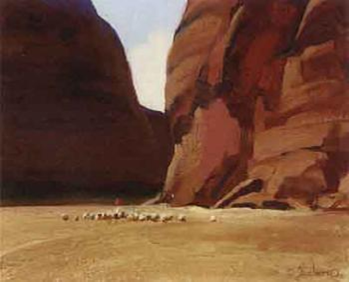 Canyon de Chelly by Gerard Curtis Delano