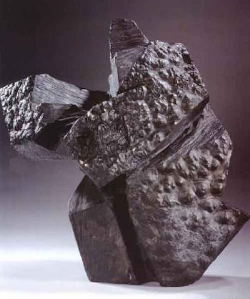 Taichi series by Ju Ming
