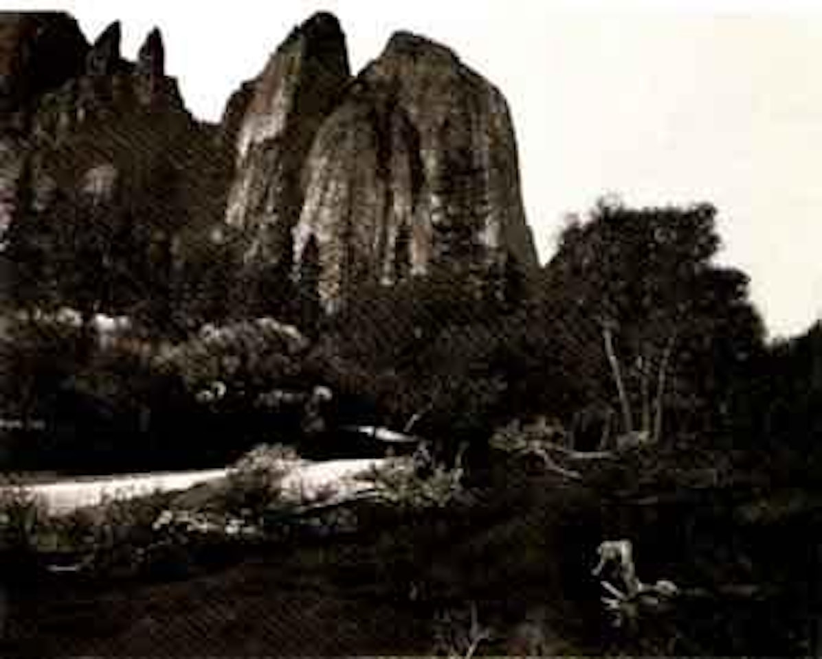 Tenaya Canon from Union Point Valley of the Yosemite by Eadweard Muybridge