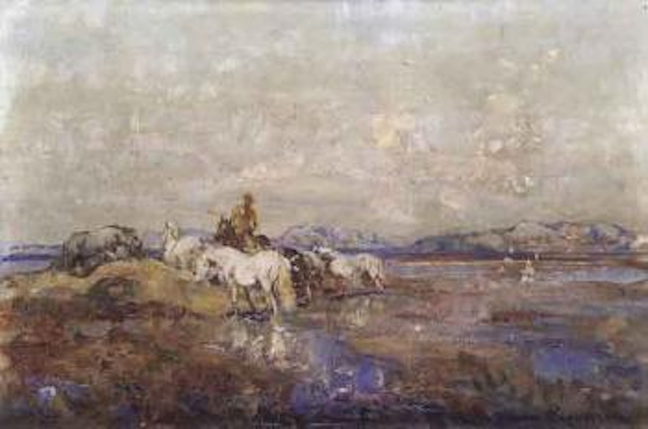 Dans les marais de Camargue by Henri Émilien Rousseau