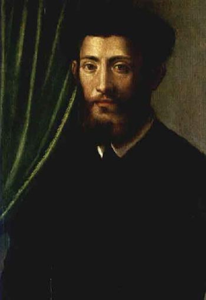 Portrait of man by Florentine School