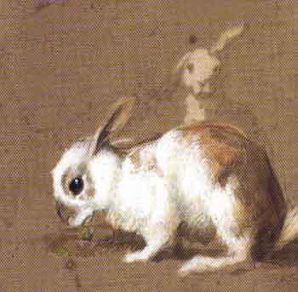 Rabbits. Blue tit by Archibald Thorburn