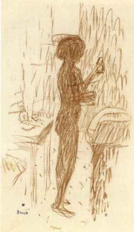 Nu a sa toilette by Pierre Bonnard