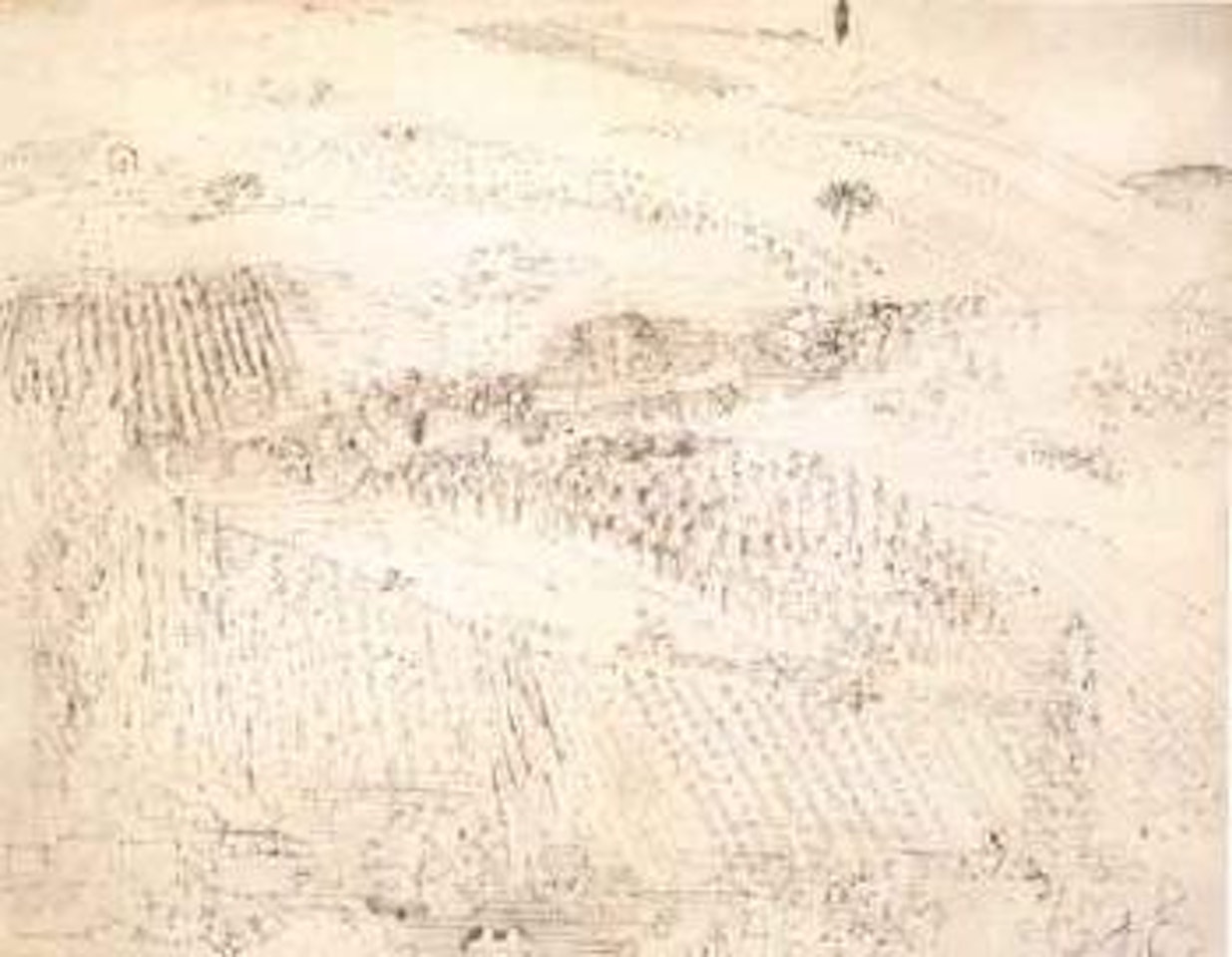 Pommard by Raoul Dufy