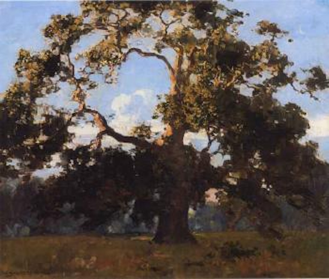 The oak, Vancouver Island by Arthur Ernest Streeton