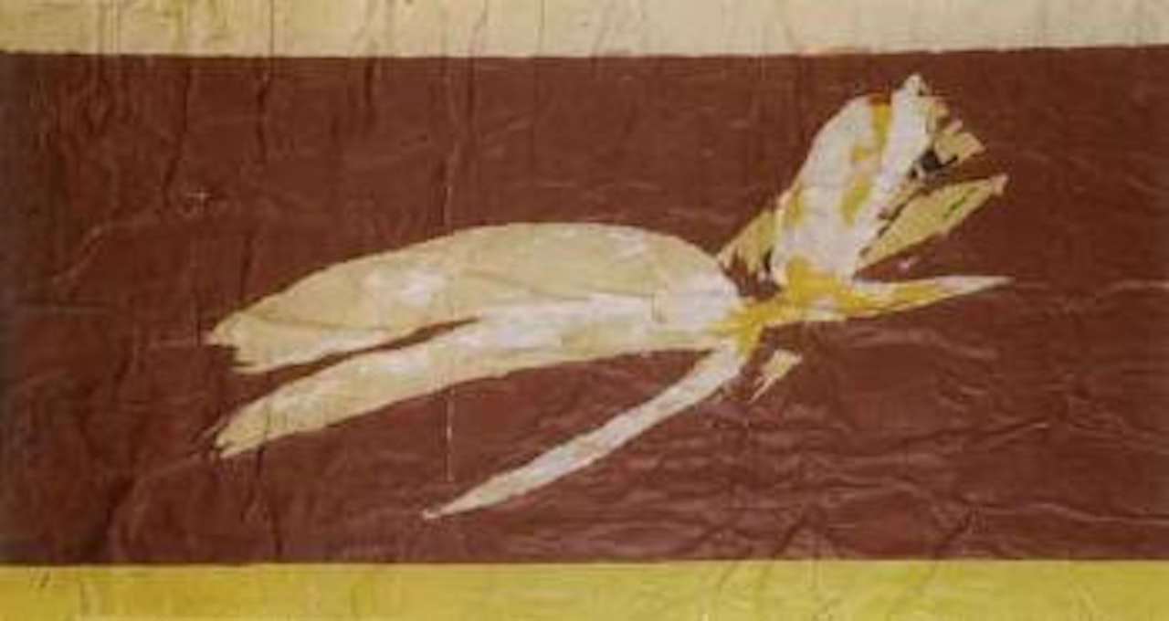 Rue Delambre, perroquet brun by Raymond Hains