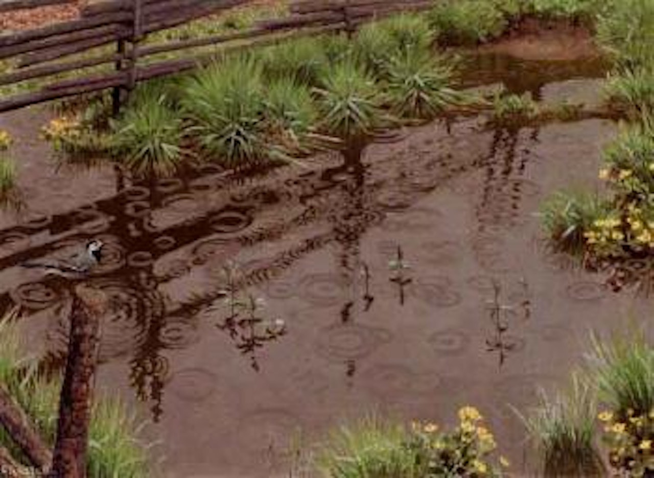 Spring landscape with waterway and birds by Gustaf Fjaestad