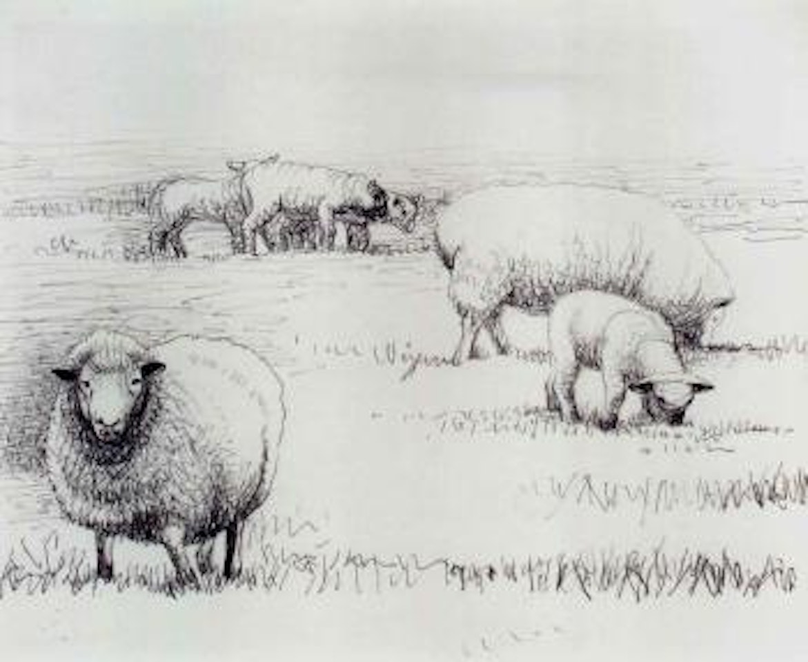 Sheep in landscape by Henry Moore